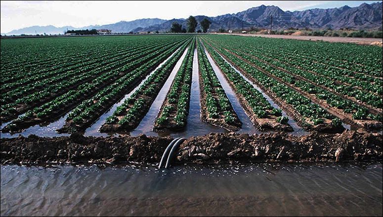  Irrigation schemes : दो सिंचाई योजनाओं के लिए 11.81 करोड़ रूपए स्वीकृत