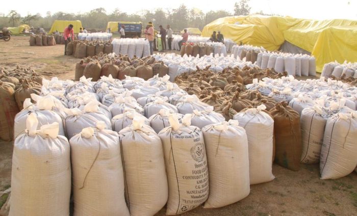 CG Paddy Purchasing: 105 lakh 76 thousand metric tons of paddy lifted in the state