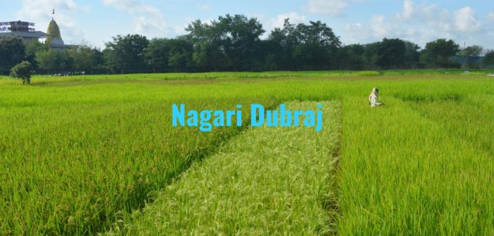 Nagari Dubraj: Nagari Dubraj got G.I. Tag, demand will increase in the country as well as abroad