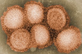 H3N2 Virus: H3N2 virus spreading rapidly in Rajasthan