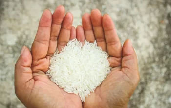 Fortified Rice: Distribution of fortified rice in the district from the month of April, effective in removing anemia and malnutrition