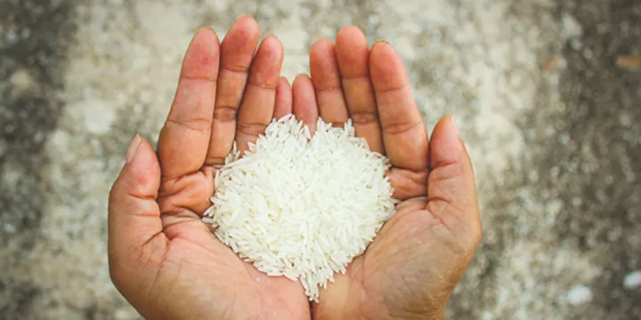 Fortified Rice : माह अप्रैल से जिले में फोर्टिफाईड चावल का वितरण, एनीमिया और कुपोषण को दूर करने में कारगर