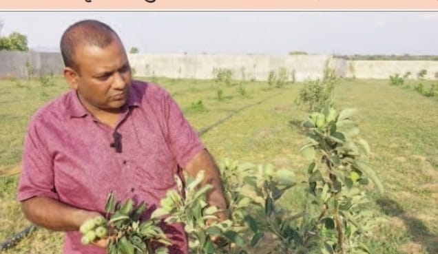 Special Article: Young farmers of Chhattisgarh are innovating in agriculture on the initiative of the Chief Minister