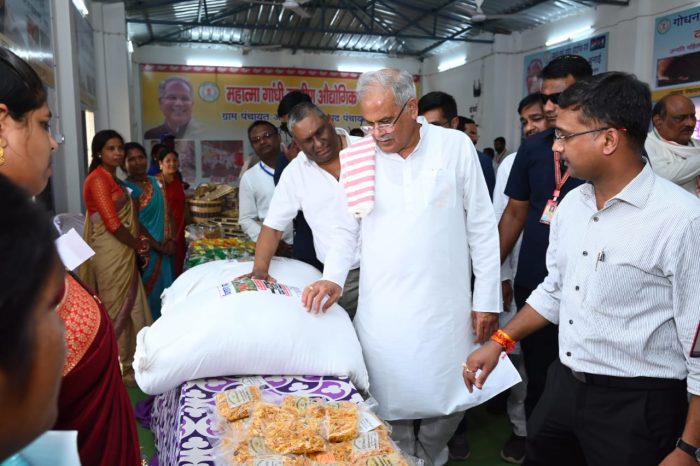 Exhibition Unit: Chief Minister Bhupesh Baghel inspected the training cum exhibition unit at Rural Industrial Park