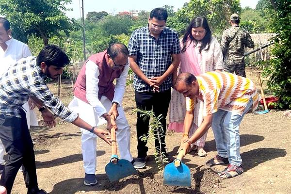 Planted Tress: Chief Minister Shivraj Chouhan planted saplings of peepal, mango and tamarind