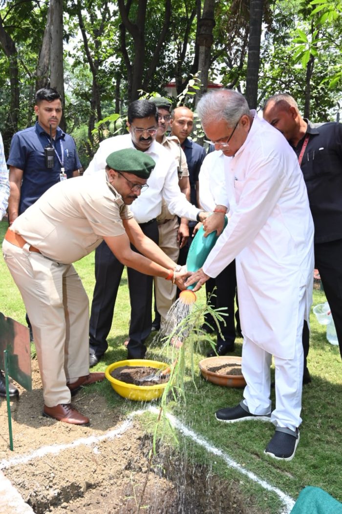 World Environment Day: Chief Minister Bhupesh Baghel planted Amla sapling in his residence premises on the occasion of World Environment Day