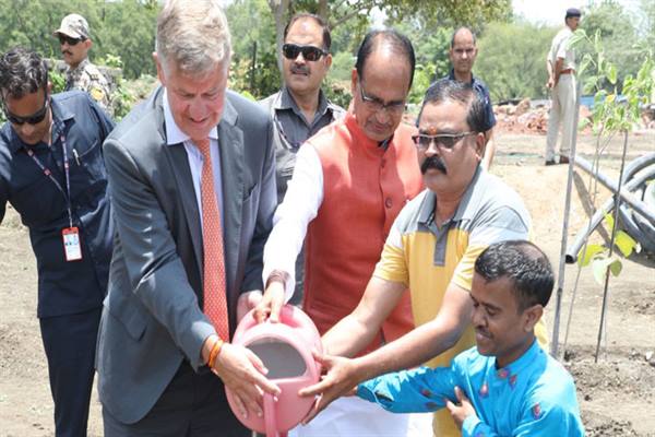 Tree Plantation: Erik Solheim, Executive Director of the United Nations Environment Program along with the Chief Minister planted saplings