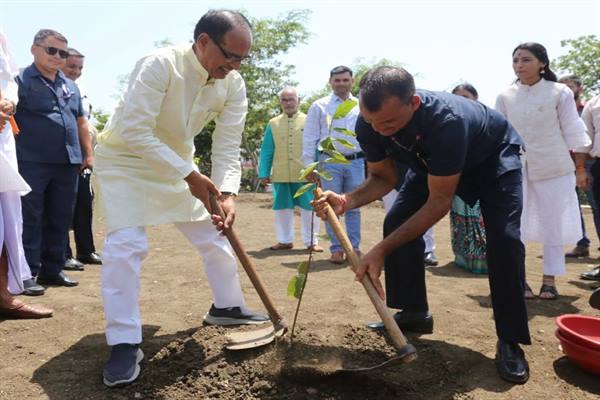 Tree Plantation: The Chief Minister planted saplings along with his driver along with environment-loving citizens