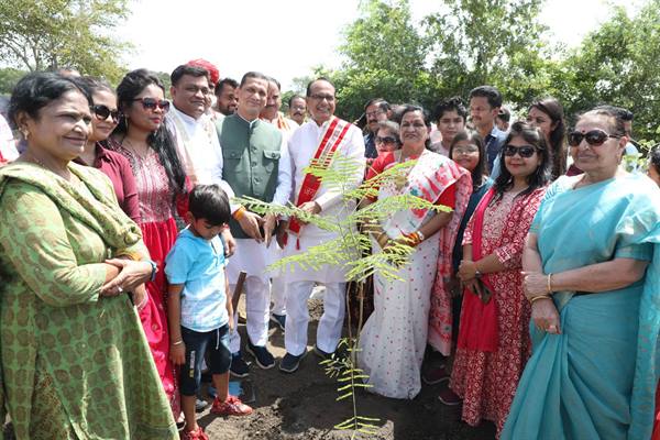 Tree Plantation: The Chief Minister planted saplings of Peepal, Gulmohar and Kachnar