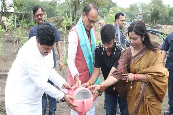 Tree Plantation: Birthday celebrated by planting saplings with Chief Minister Chouhan