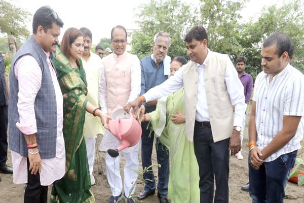 Tree Plantation: Chief Minister Chouhan planted Amla, Karanj and Kachnar plants