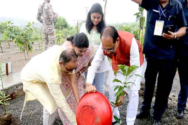 Tree Plantation: Chief Minister Shri Chouhan planted saplings of Amla, Mango and Neem