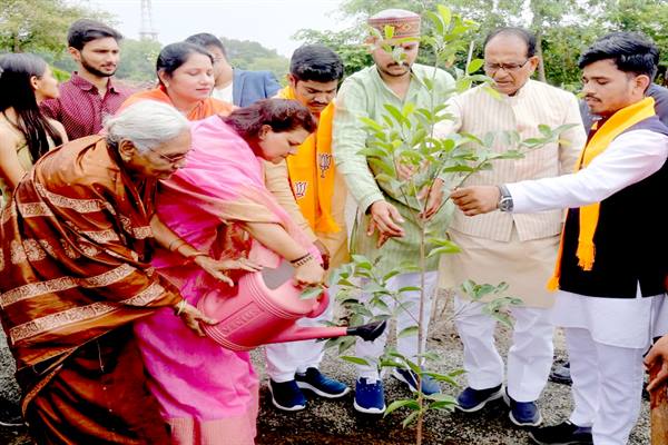 Tree Plantation: Chief Minister Chouhan planted saplings of Banyan, Kachanar and Maulshri