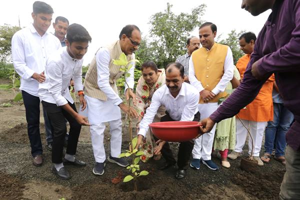 Tree Plantation: Chief Minister Chouhan planted saplings of Peepal, Harsingar and Kadamba
