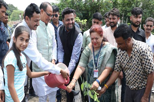 Tree Plantation: Chief Minister Shivraj planted mango, neem and cassia plants