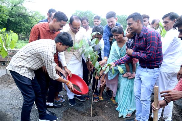 Tree Plantation: Chief Minister Chouhan planted saplings of Banyan, Jamun and Kadamba
