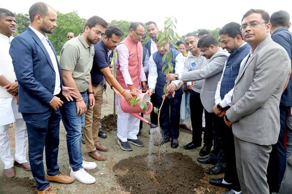 Tree Plantation: Chief Minister Shivraj planted saplings of Banyan, Jamun, Mahua and Gulmohar