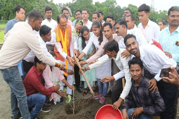 Tree Plantation: Chief Minister Shivraj Chouhan planted saplings of Peepal, Kadamba and Khirni