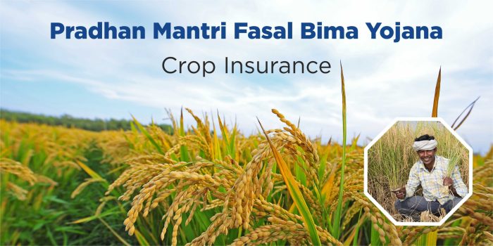 Crop Insurance: Reorganized weather based crop insurance till 16th August