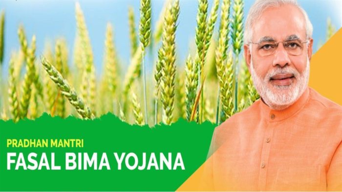 PM Fasal Bima Yojana: Rs 34 crore 40 lakh 5 thousand 218 was transferred to 20 thousand 765 farmers holding insurance policies