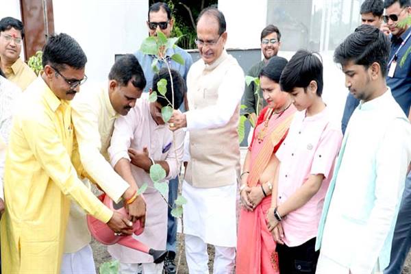 Tree Plantation: Chief Minister Chouhan planted saplings of Mahua, Peepal and Gulmohar