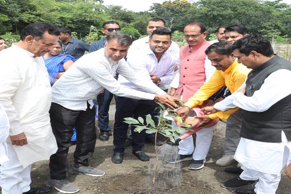 Tree Plantation: Chief Minister Chouhan planted saplings of Maulshri, Jamun and Kadamba