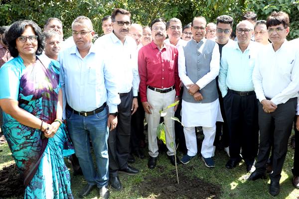 Tree Plantation: Chief Minister Shivraj Chauhan planted saplings of Banyan, Belpatra, Maulshree, Gulmohar and Peepal.