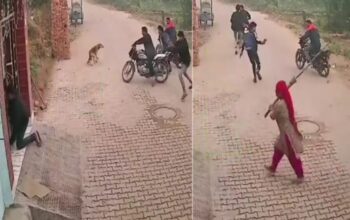 Shooter Firing: Shocking scene captured in CCTV...! This woman ran away the 'shooters' who were firing with a broom...see VIDEO