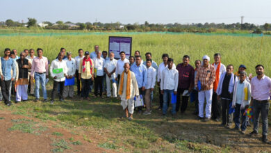 CG Farmer Honor Ceremony: Direct sowing of paddy reduces 25 percent water and cost of Rs 6 thousand per hectare.
