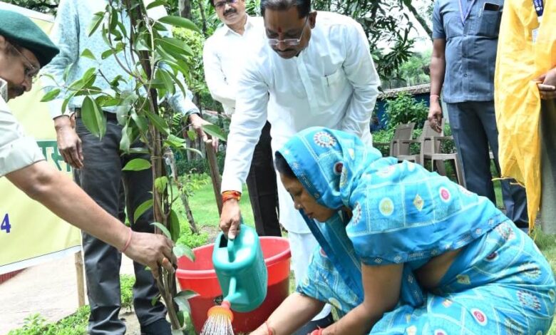 Bastar News: Special initiative of Chief Minister Vishnudev Sai, there will be greenery at the centers of faith in Bastar region