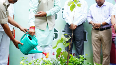 CG News: 'One tree in the name of mother' campaign launched in the state