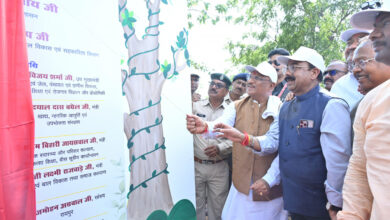 Tree Plantation Campaign-2024: Chief Minister Vishnu Dev Sai launched 'One Tree in the Name of Mother' Maha Tree Plantation Campaign-2024