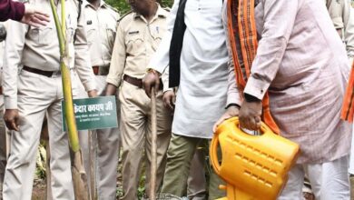 International Tiger Day: Forest Minister Kedar Kashyap attended the program organized on International Tiger Day as the chief guest