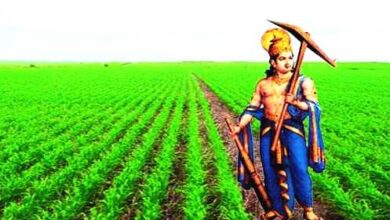 Farmer's Day: Farmer's Day will be celebrated in the state on September 9 on the occasion of Lord Balaram Jayanti