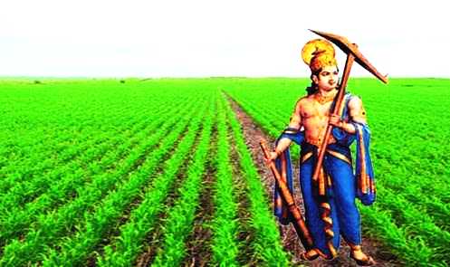 Farmer's Day: Farmer's Day will be celebrated in the state on September 9 on the occasion of Lord Balaram Jayanti