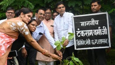 CG Revenue Minister: Revenue Minister planted a Peepal tree under 'One Tree in the Name of Mother' campaign