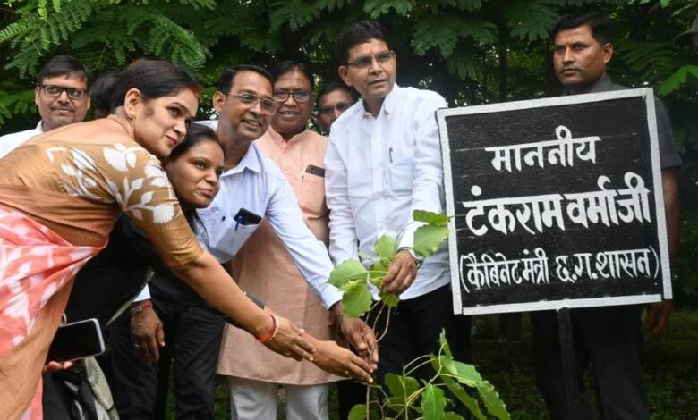 CG Revenue Minister: Revenue Minister planted a Peepal tree under 'One Tree in the Name of Mother' campaign