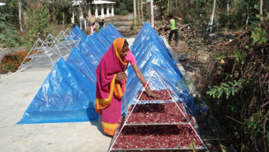 Haribol Self Help Group : Inspiring success of forest medicine processing center Donganala