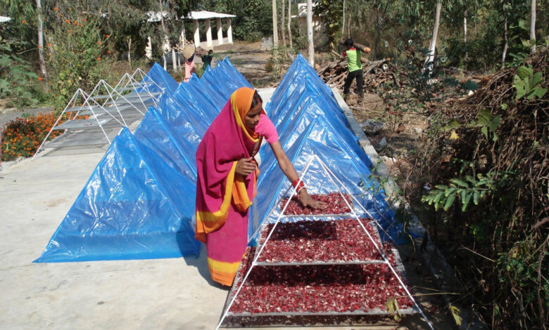 Haribol Self Help Group : Inspiring success of forest medicine processing center Donganala