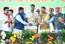 27th Forest Sports Festival: All India Forest Sports Competition started with grand fireworks, Indian cricket star Suryakumar Yadav praised the efforts of forest conservation in Chhattisgarh