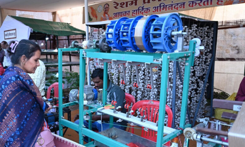 Rajyotsava-2024: Crowds are gathering to understand the process of silk production, white, colored and yellow Mysore cocoon seeds have become the center of attraction