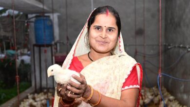 Special Article : Nageshwari of village Kathia, who was once a housewife, is now a Lakhpati Didi, earning more than a lakh rupees annually from 500 chickens