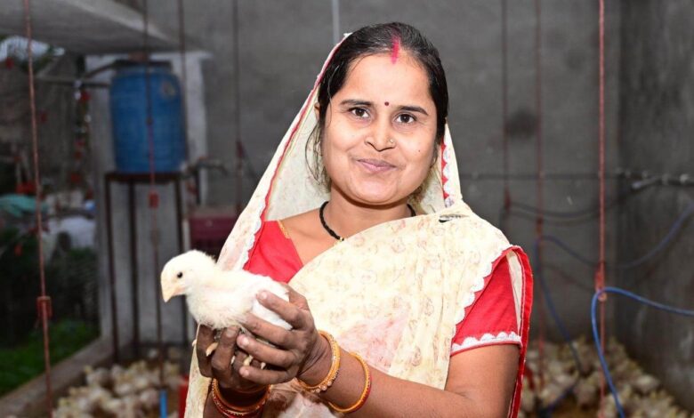 Special Article : Nageshwari of village Kathia, who was once a housewife, is now a Lakhpati Didi, earning more than a lakh rupees annually from 500 chickens