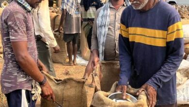 CG Paddy Purchasing: So far 32.29 lakh metric tonnes of paddy has been purchased in Chhattisgarh, 6807.82 crore rupees have been paid to 6.80 lakh farmers in lieu of paddy purchase