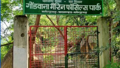 Gondwana Marine Fossil Park: A priceless treasure of Chhattisgarh, Gondwana Marine Fossil Park reveals the secret of 293 million years old marine fossils