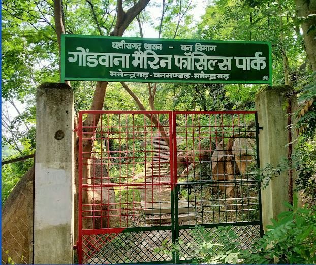 Gondwana Marine Fossil Park : छत्तीसगढ़ का अनमोल खजाना, 293 मिलियन साल पुराने समुद्री जीवाश्मों का राज़ खोलता गोंडवाना मरीन फॉसिल पार्क