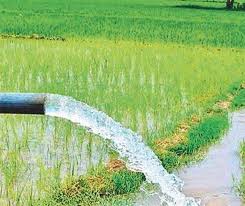 Water Resources Department CG: Rs 5.47 crore approved for the works of Palachur irrigation scheme of Durgkondal