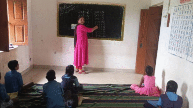 Special Article: Education system is improving due to rationalization policy, schools are back in glory under the leadership of Chief Minister, availability of teachers is ensured in every school