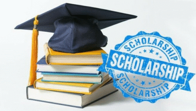 Scholarship Scheme: Entries for scholarship scheme for economically weak promising young artists for the year 2025-26 till August 30