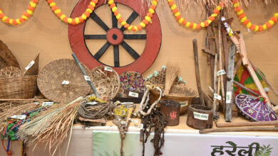 Hareli Utsav at CM Residence: A glimpse of Chhattisgarhi traditions seen in CM House...! A glimpse of cultural splendor scattered along with agricultural equipment... see here